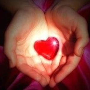 Meet your Posher, Sandy